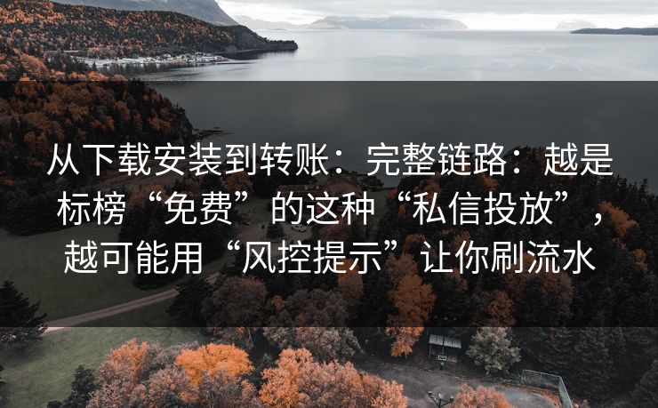 从下载安装到转账：完整链路：越是标榜“免费”的这种“私信投放”，越可能用“风控提示”让你刷流水