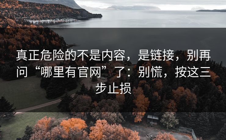 真正危险的不是内容，是链接，别再问“哪里有官网”了：别慌，按这三步止损
