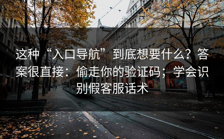 这种“入口导航”到底想要什么？答案很直接：偷走你的验证码；学会识别假客服话术