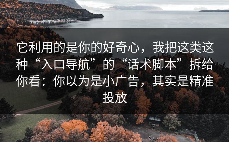 它利用的是你的好奇心,我把这类这种“入口导航”的“话术脚本”拆给你看:你以为是小广告,其实是精准投放 第1张 它利用的是你的好奇心,我把这类这种“入口导航”的“话术脚本”拆给你看:你以为是小广告,其实是精准投放 第1张