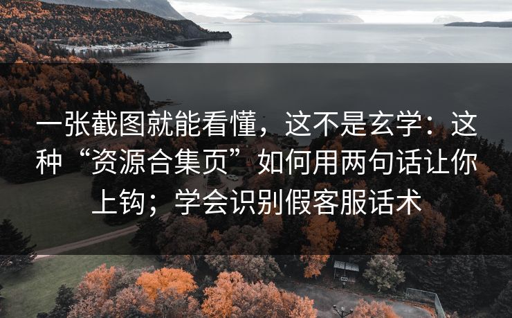 一张截图就能看懂，这不是玄学：这种“资源合集页”如何用两句话让你上钩；学会识别假客服话术