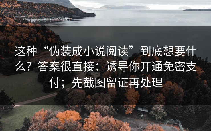 这种“伪装成小说阅读”到底想要什么？答案很直接：诱导你开通免密支付；先截图留证再处理