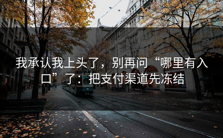 我承认我上头了，别再问“哪里有入口”了：把支付渠道先冻结
