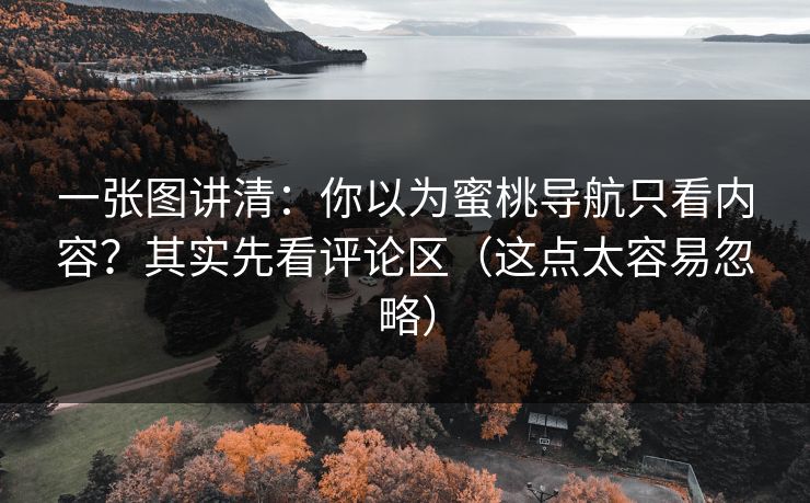 一张图讲清：你以为蜜桃导航只看内容？其实先看评论区（这点太容易忽略）