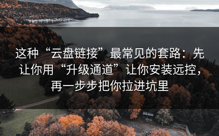 这种“云盘链接”最常见的套路：先让你用“升级通道”让你安装远控，再一步步把你拉进坑里