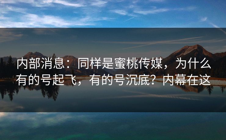 内部消息：同样是蜜桃传媒，为什么有的号起飞，有的号沉底？内幕在这