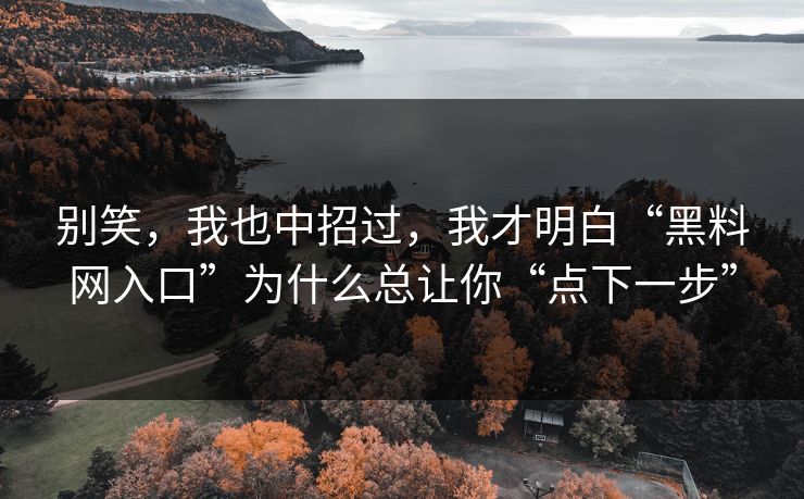 别笑，我也中招过，我才明白“黑料网入口”为什么总让你“点下一步”