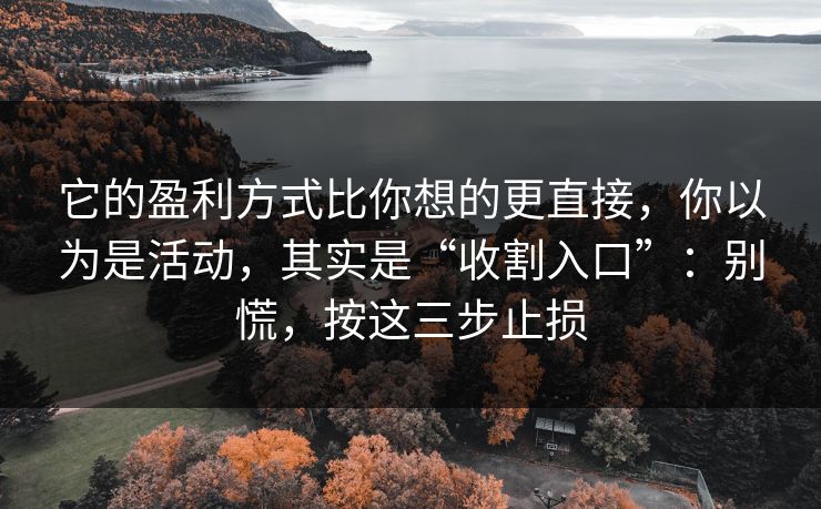 它的盈利方式比你想的更直接，你以为是活动，其实是“收割入口”：别慌，按这三步止损