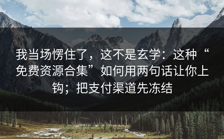 我当场愣住了，这不是玄学：这种“免费资源合集”如何用两句话让你上钩；把支付渠道先冻结